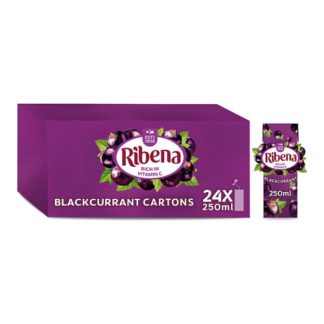 Ribena Blackcurrant Carton 250ml (Case Of 24)